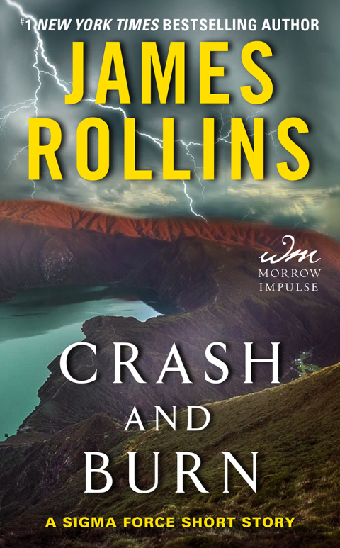 Cover image for book Crash and Burn