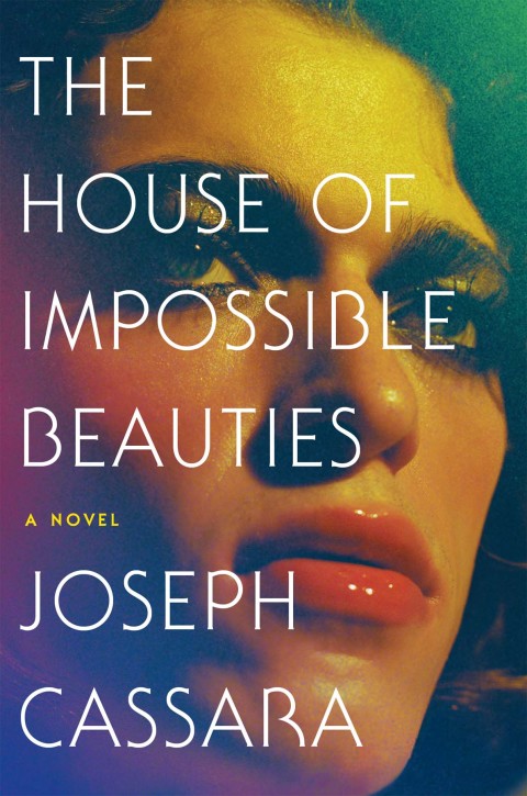 Cover image for book The House of Impossible Beauties
