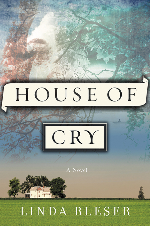 Cover image for book House of Cry
