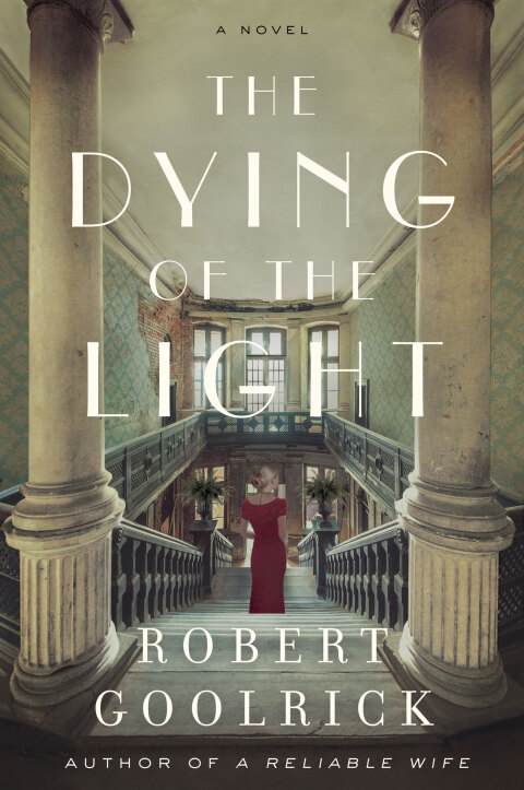 Cover image for book The Dying of the Light