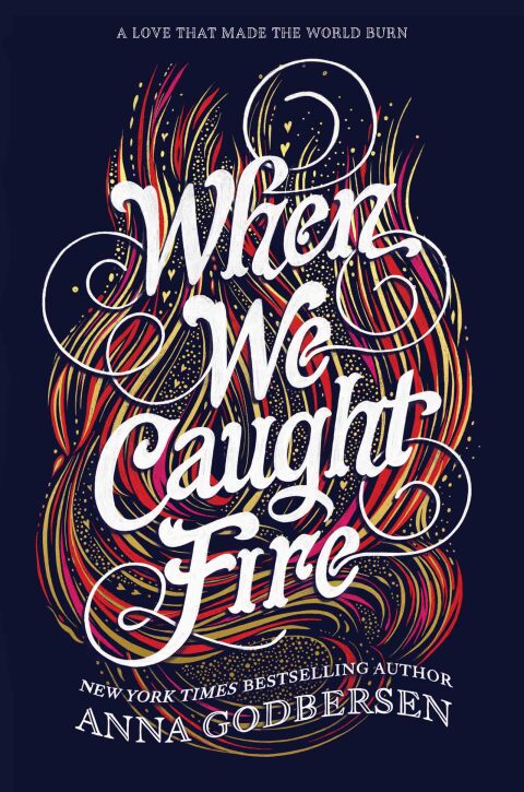 Cover image for book When We Caught Fire