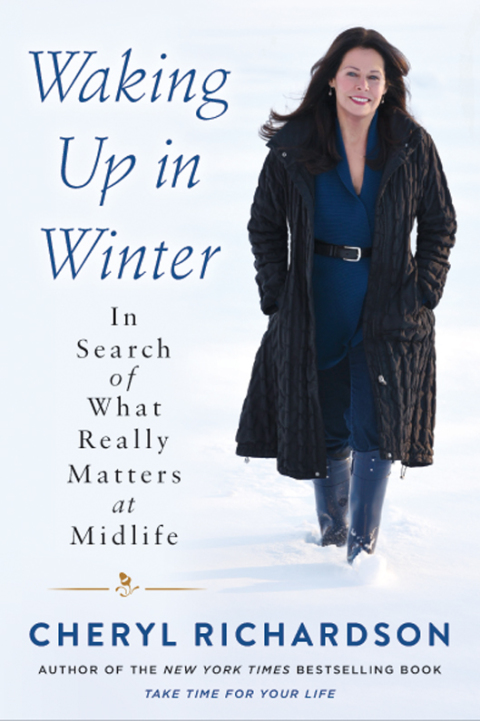 Cover image for book Waking Up in Winter