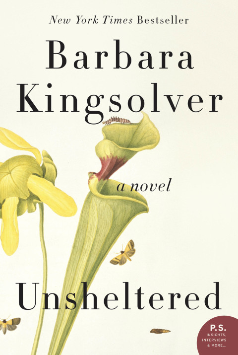 Cover image for book Unsheltered