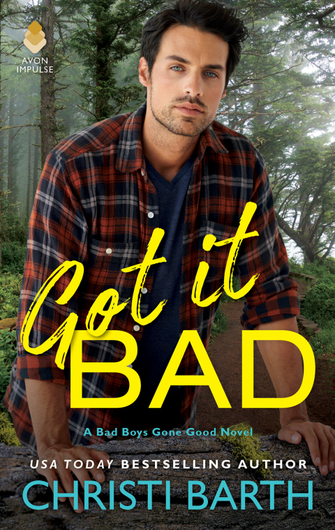 Cover image for book Got it Bad