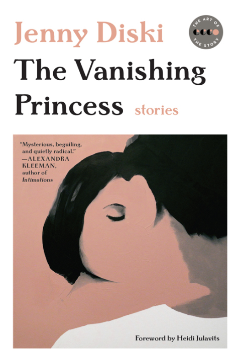 Cover image for book The Vanishing Princess