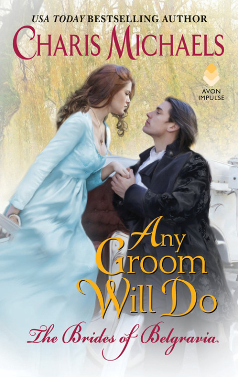 Cover image for book Any Groom Will Do