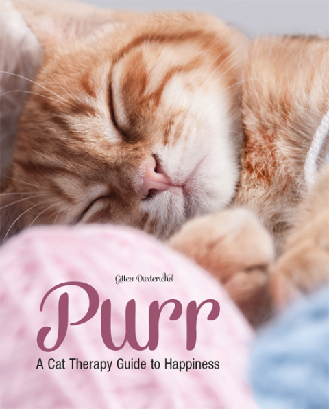 Cover image for book Purr