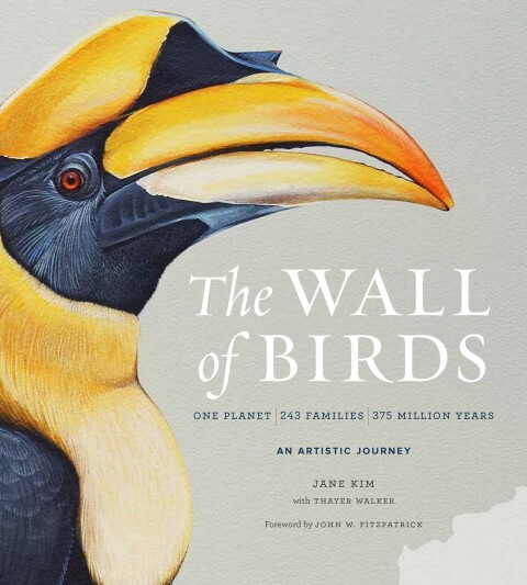 Cover image for book The Wall of Birds