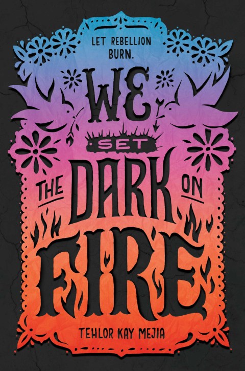 Cover image for book We Set the Dark on Fire