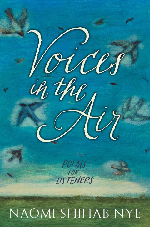 Cover image for book Voices in the Air