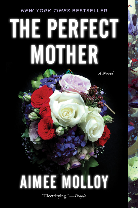 Cover image for book The Perfect Mother