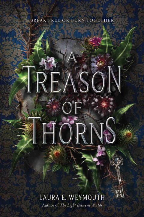 Cover image for book A Treason of Thorns