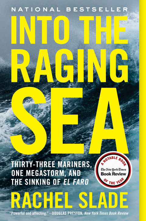 Cover image for book Into the Raging Sea
