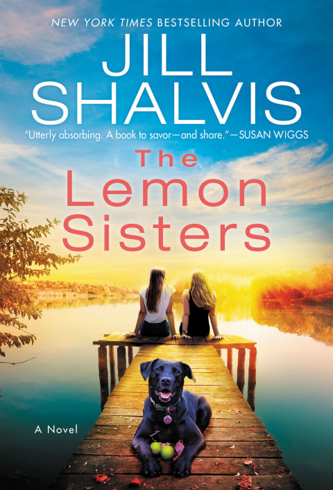 Cover image for book The Lemon Sisters