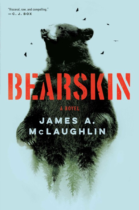 Cover image for book Bearskin