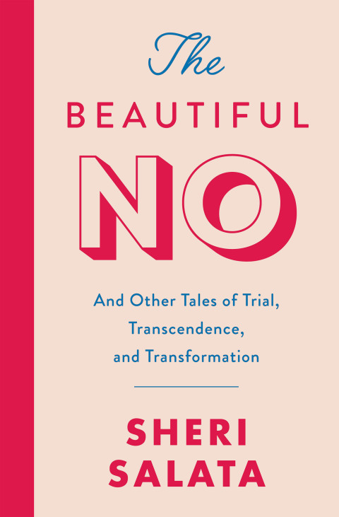 Cover image for book The Beautiful No