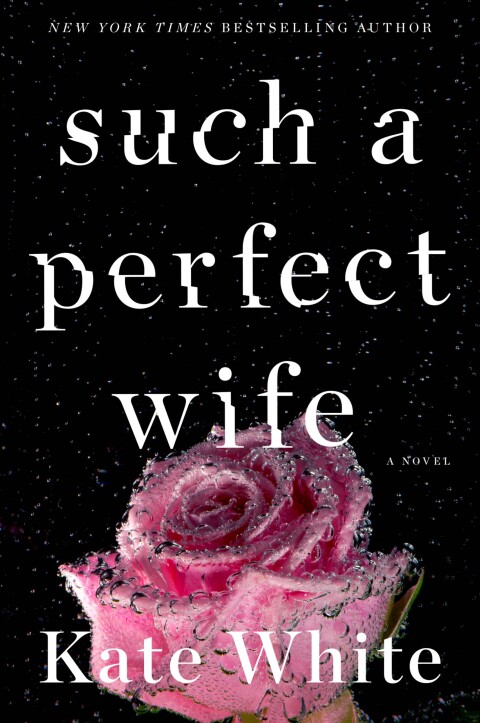 Cover image for book Such a Perfect Wife