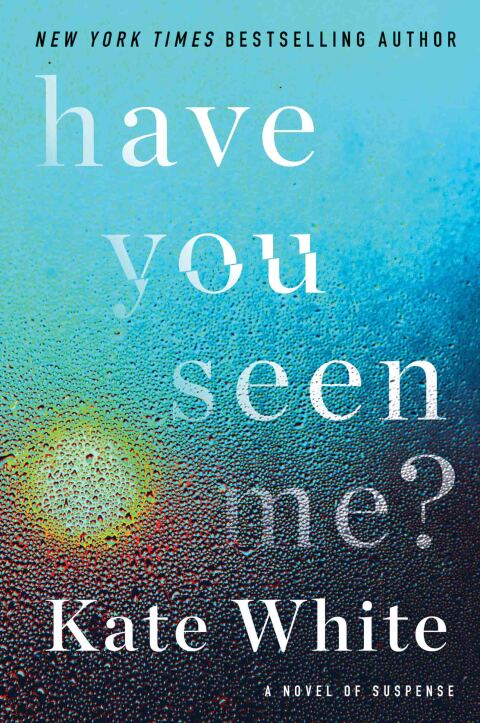 Cover image for book Have You Seen Me?