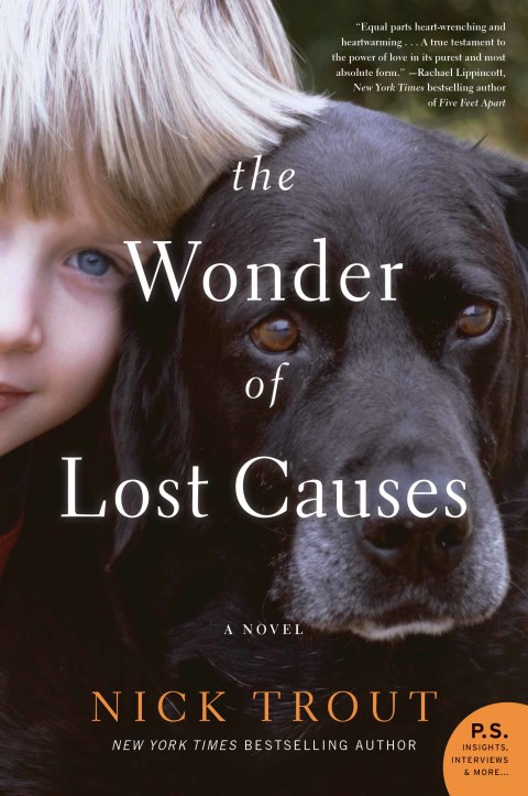 Cover image for book The Wonder of Lost Causes