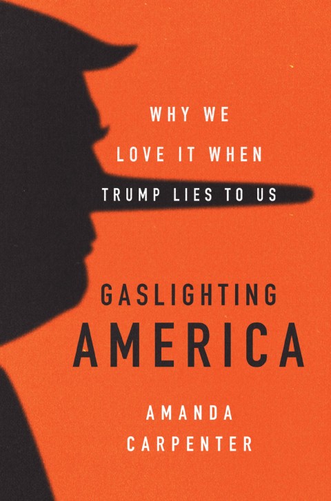 Cover image for book Gaslighting America