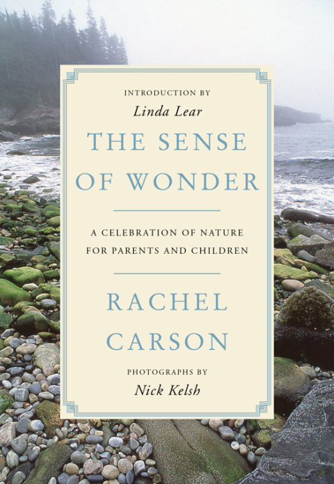 Cover image for book The Sense of Wonder