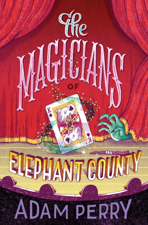 Cover image for book The Magicians of Elephant County