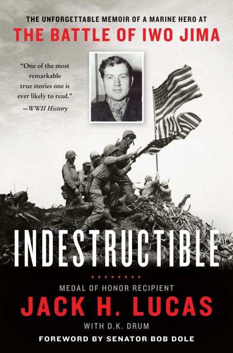 Cover image for book Indestructible