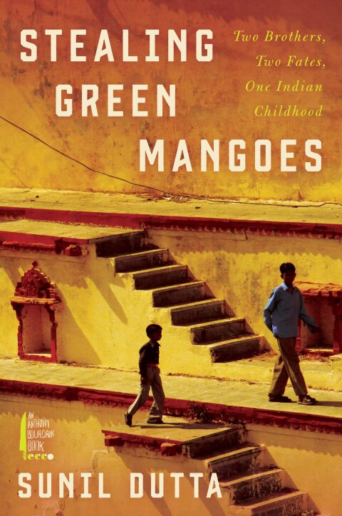 Cover image for book Stealing Green Mangoes