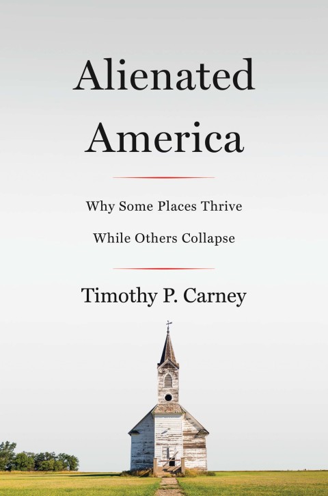 Cover image for book Alienated America