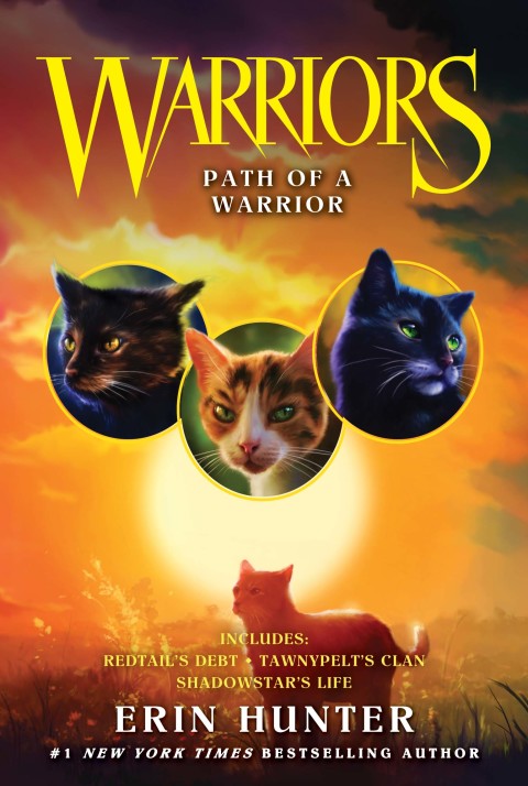 Cover image for book Warriors: Path of a Warrior