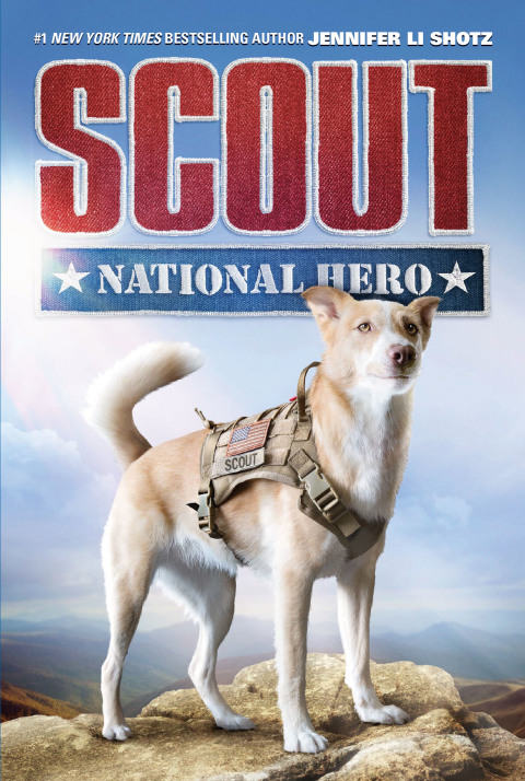 Cover image for book Scout: National Hero