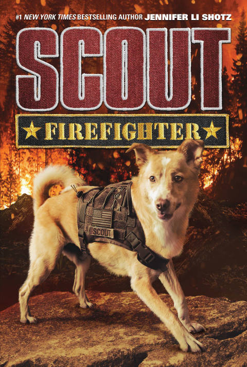 Cover image for book Scout: Firefighter