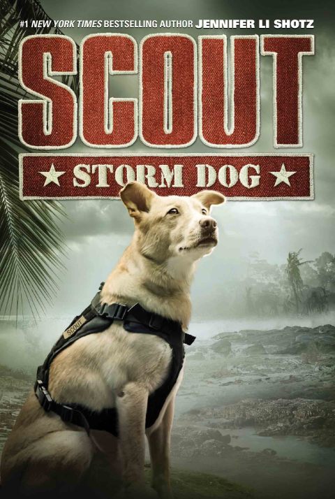 Cover image for book Scout: Storm Dog
