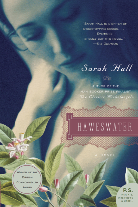 Cover image for book Haweswater