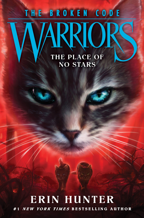 Cover image for book Warriors: The Broken Code #5: The Place of No Stars
