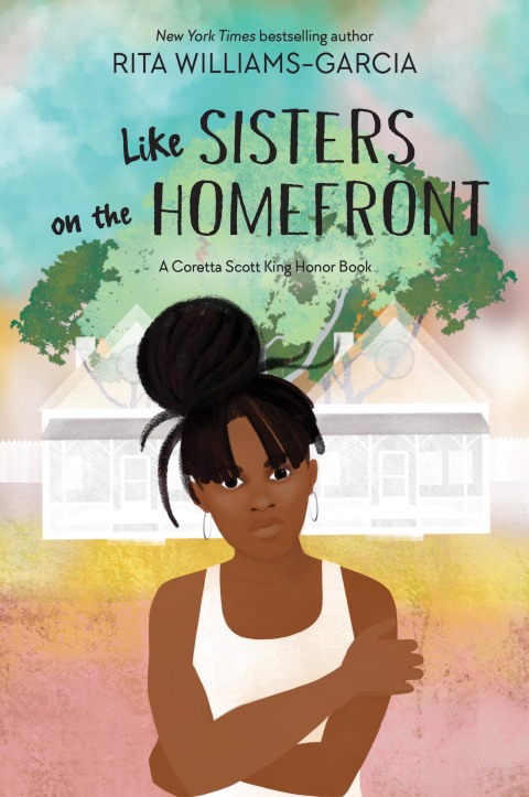 Cover image for book Like Sisters on the Homefront