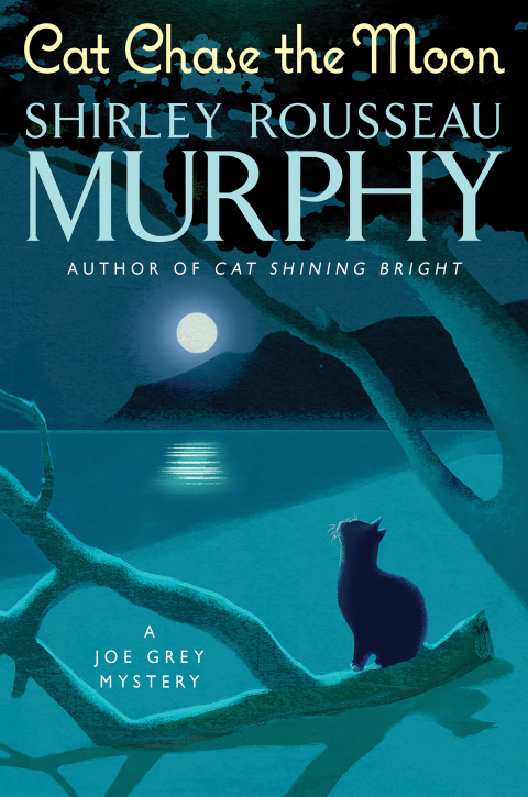Cover image for book Cat Chase the Moon