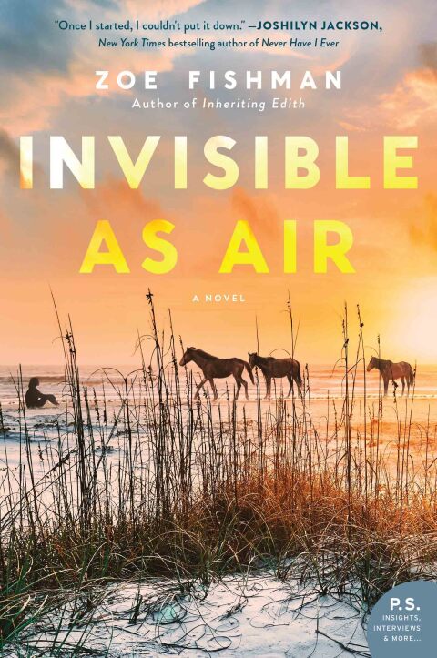 Cover image for book Invisible as Air