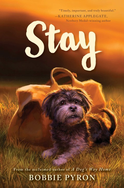 Cover image for book Stay