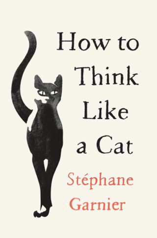 How to Think Like a Cat