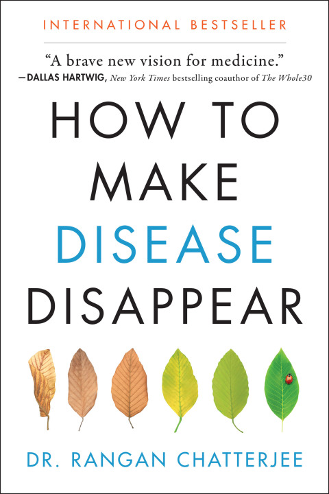 Cover image for book How to Make Disease Disappear