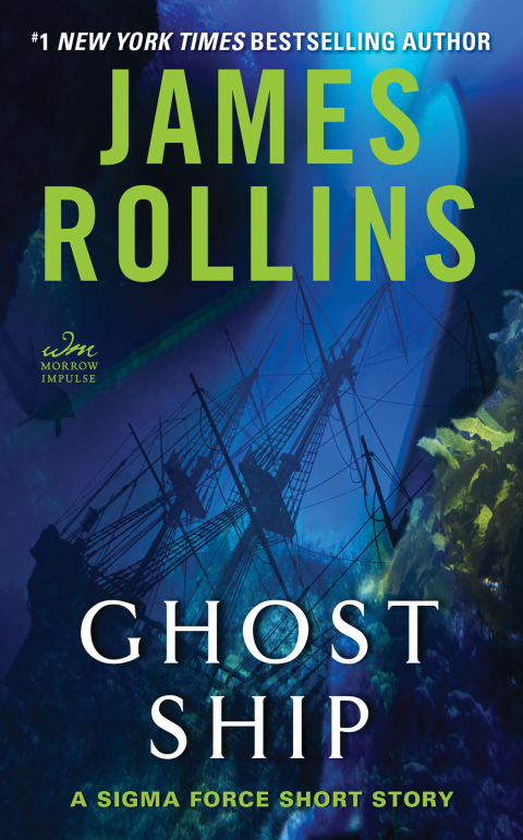 Cover image for book Ghost Ship