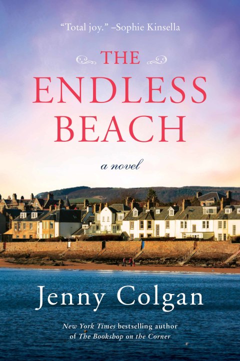 Cover image for book The Endless Beach