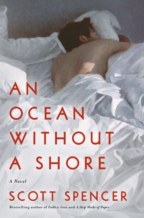 Cover image for book An Ocean Without a Shore
