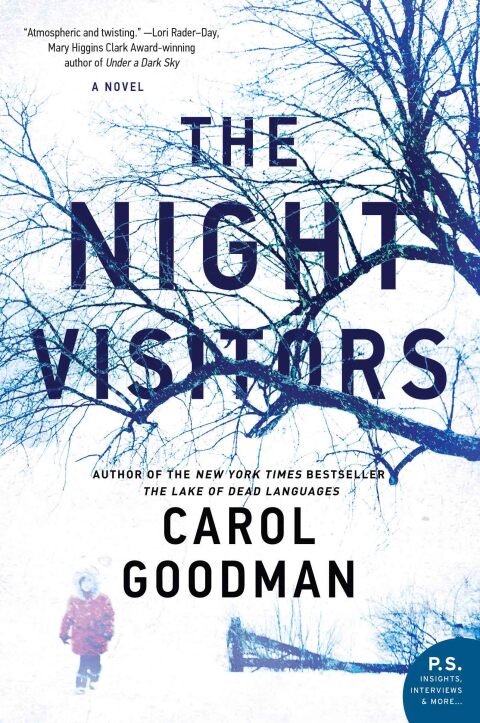Cover image for book The Night Visitors