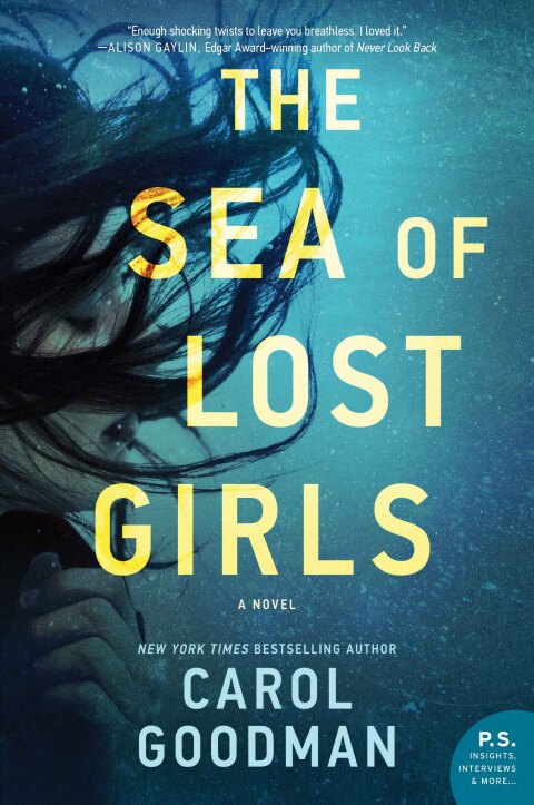 Cover image for book The Sea of Lost Girls