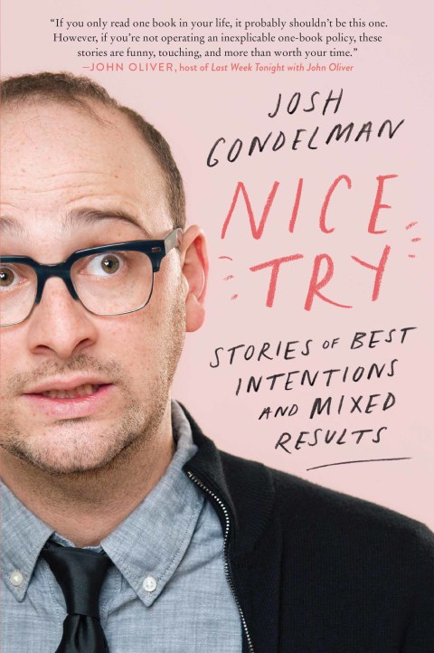 Cover image for book Nice Try