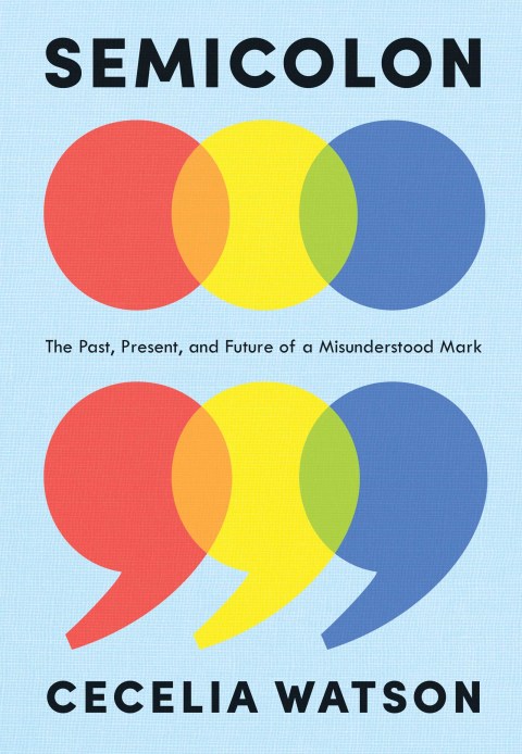 Cover image for book Semicolon