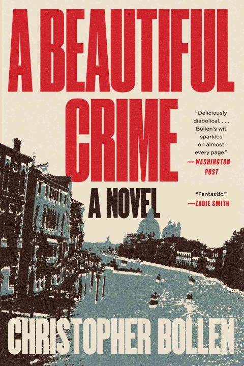 Cover image for book Beautiful Crime, A