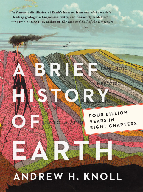 Cover image for book A Brief History of Earth